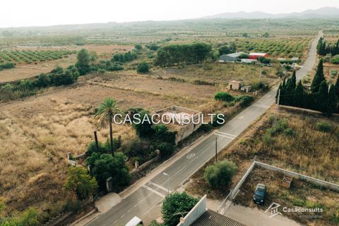 Landejendom i Benlloch, Castellon, Benlloch - € 155.000 | Ref: 901 - foto 2